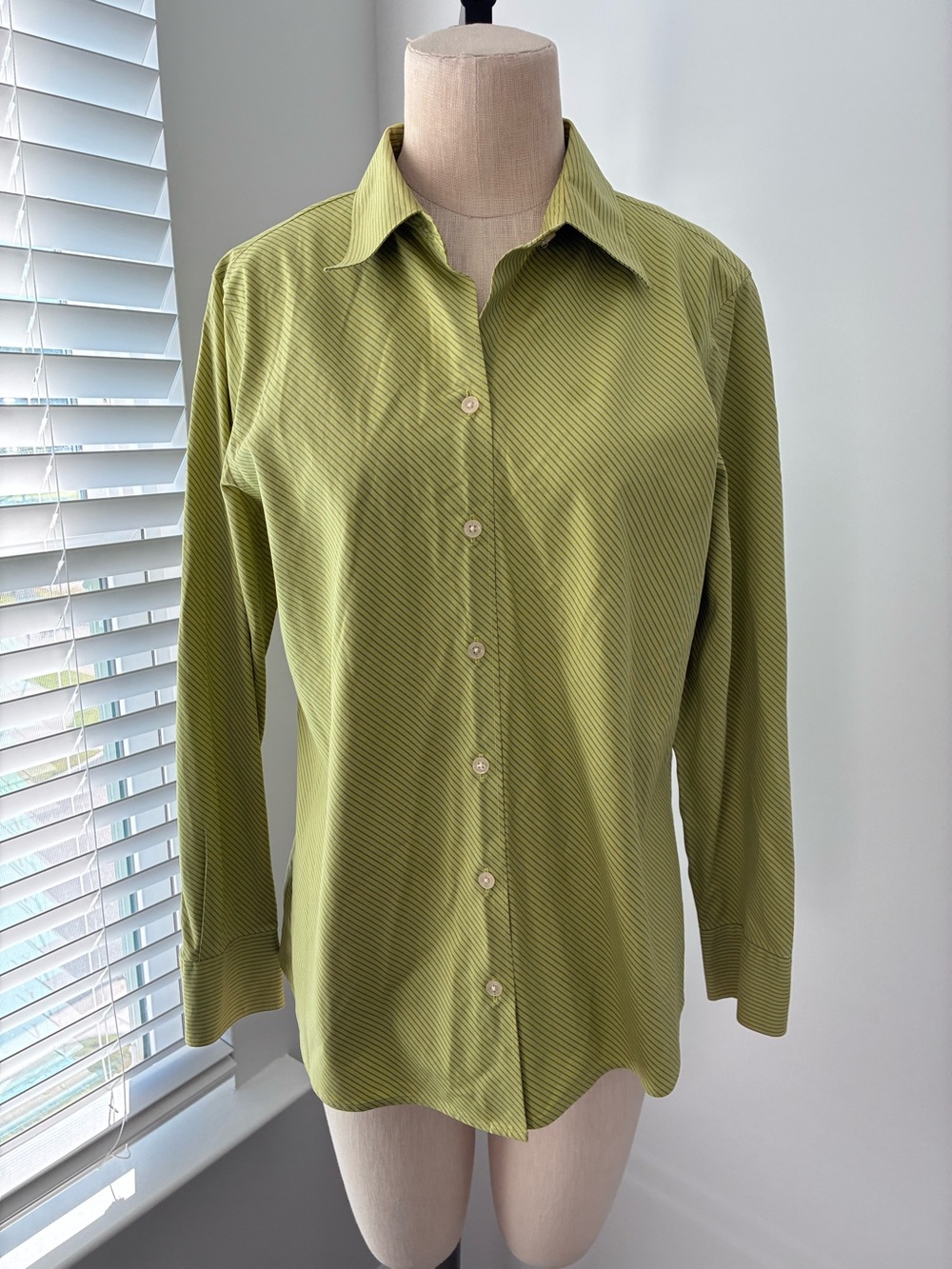 Eddie Bauer VTG Green Diagonal Striped Button Down
